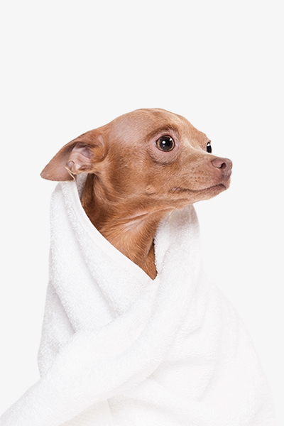 Pet Towel
